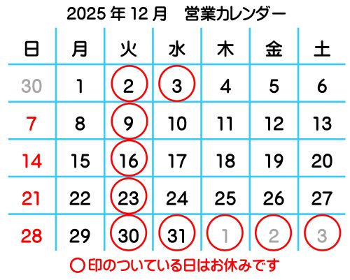 2025�N12���c�ƃJ�����_�[